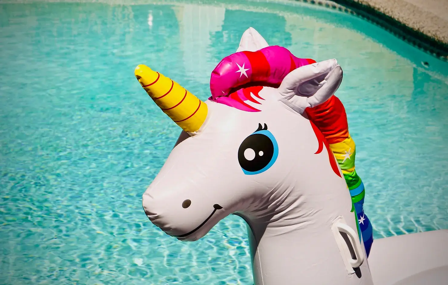 infliated-unicorn-by-the-pool